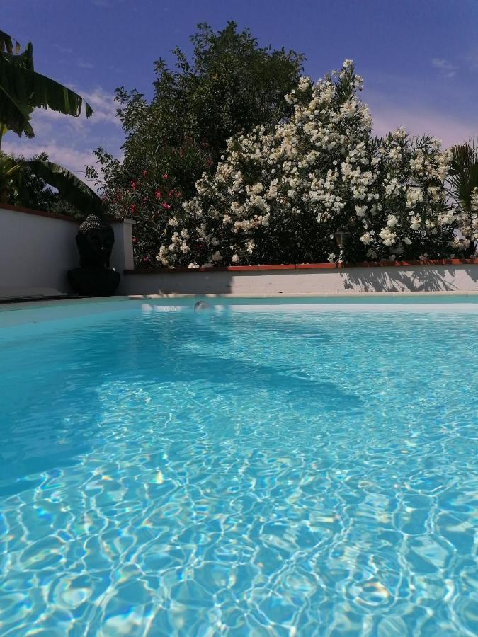 La maison d'Hôtes Du Moulin Lagardelle-sur-Lèze Extérieur photo